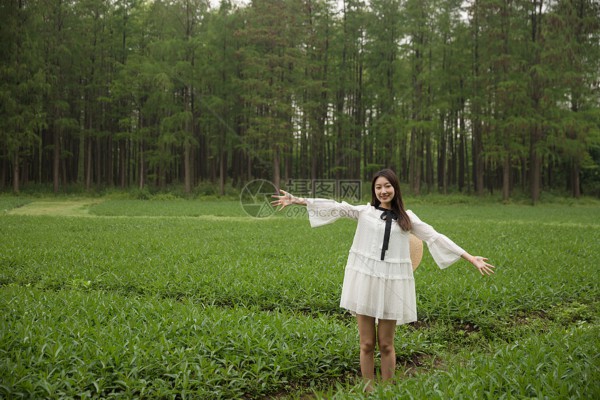 粤式茶艺在欢乐谷绽放，武汉人的小确幸！